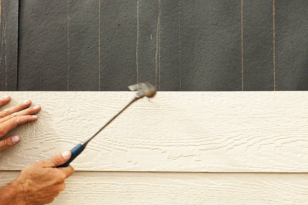 Best Siding Painting and Refinishing  in Bloomingdale, FL